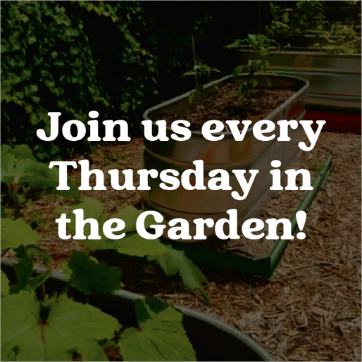 garden graphic for july newsletter